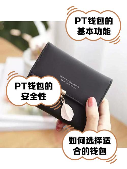 PT钱包官网,pt钱包官方下载