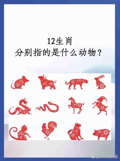 “奇人相配三六数”打一动物生肖的简单介绍