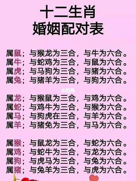什么生肖不能出现什么数字,什么生肖不能和什么生肖结婚