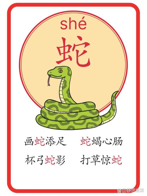 锅字形容什么生肖,锅十二生肖代表什么动物