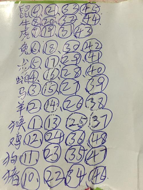 今期生肖二六乘猜生肖,今期生肖二六乘猜生肖动物
