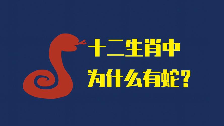 什么生肖和蛇相冲,什么生肖和蛇相冲身上用带东西不