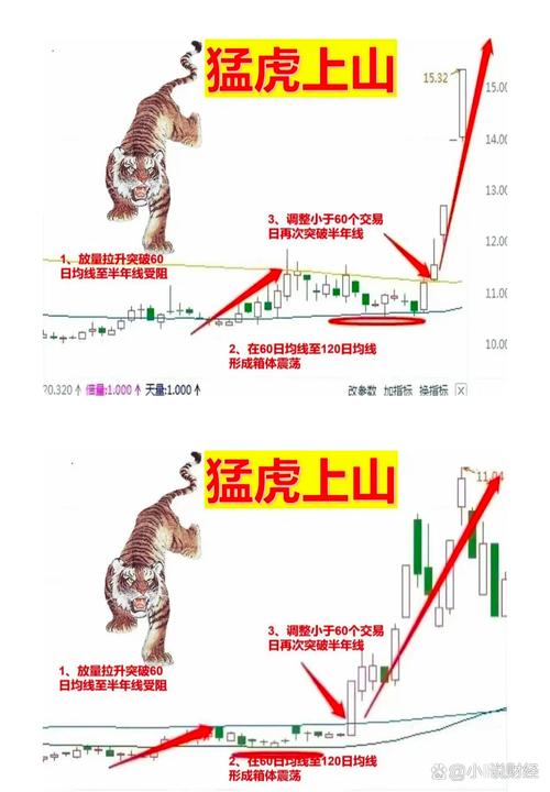 红兰今期有玄机打一最佳动物,红兰今期有玄机猜中单双有横财