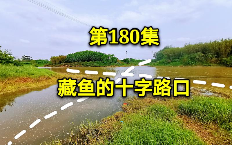机率之中藏玄机最佳答案,机率之中藏玄机最佳答案是什么