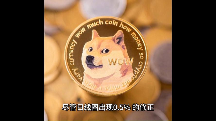 狗狗币多少钱一个?,狗狗币多少钱一个人民币