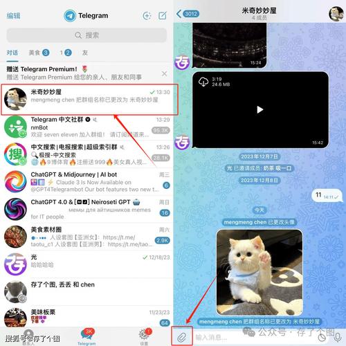 关于电报资源分享群的信息