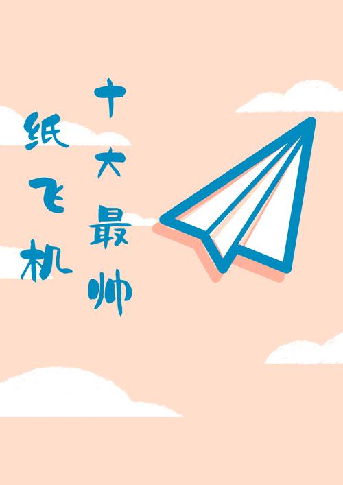 关于十大最帅纸飞机2000的信息