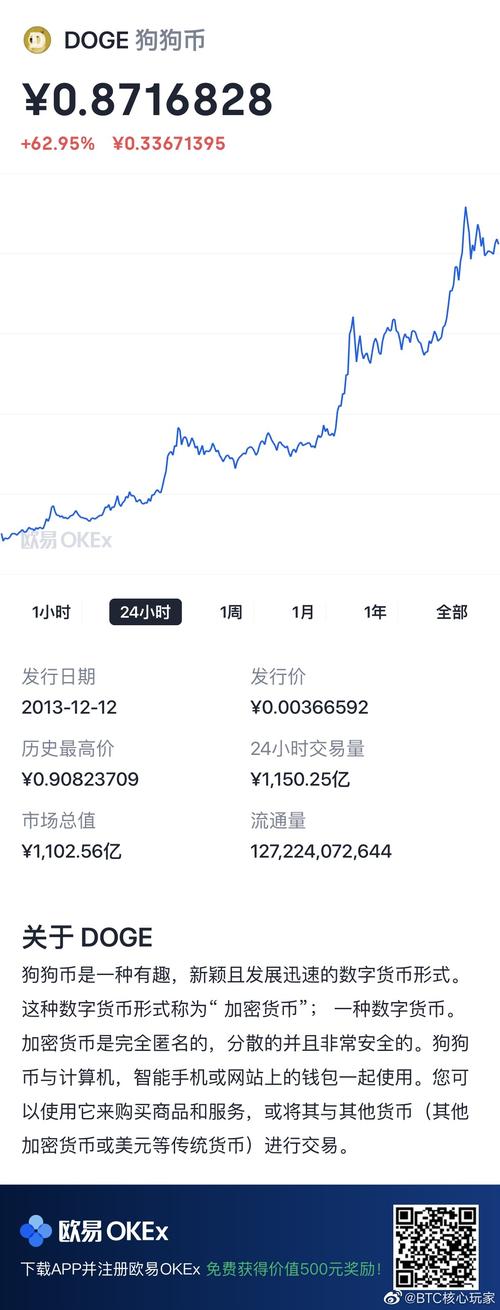 狗狗币资金盘,狗狗币资金动向