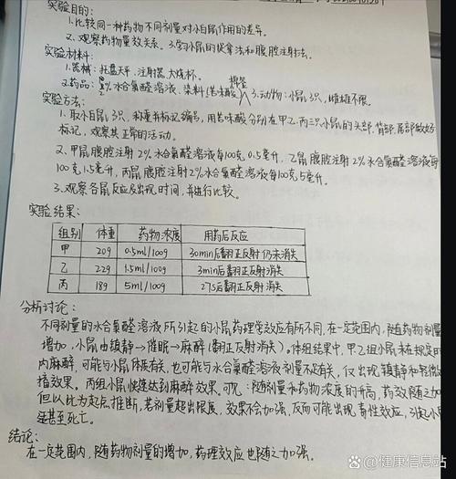纸飞机形状对飞行距离影响的探究,探究纸飞机飞行距离的影响因素实验报告