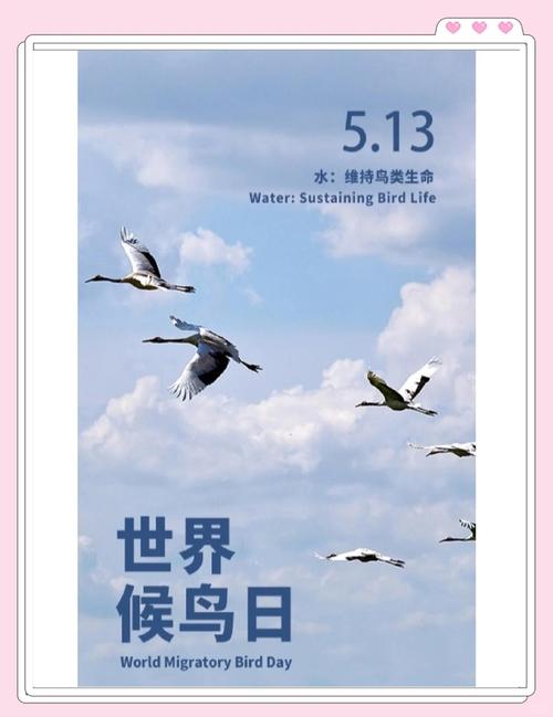 ins下载,ins下载候鸟防关联