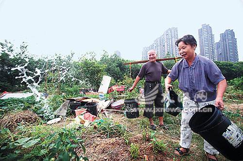 [电报员周大爷简历]电报员周大爷简历照片