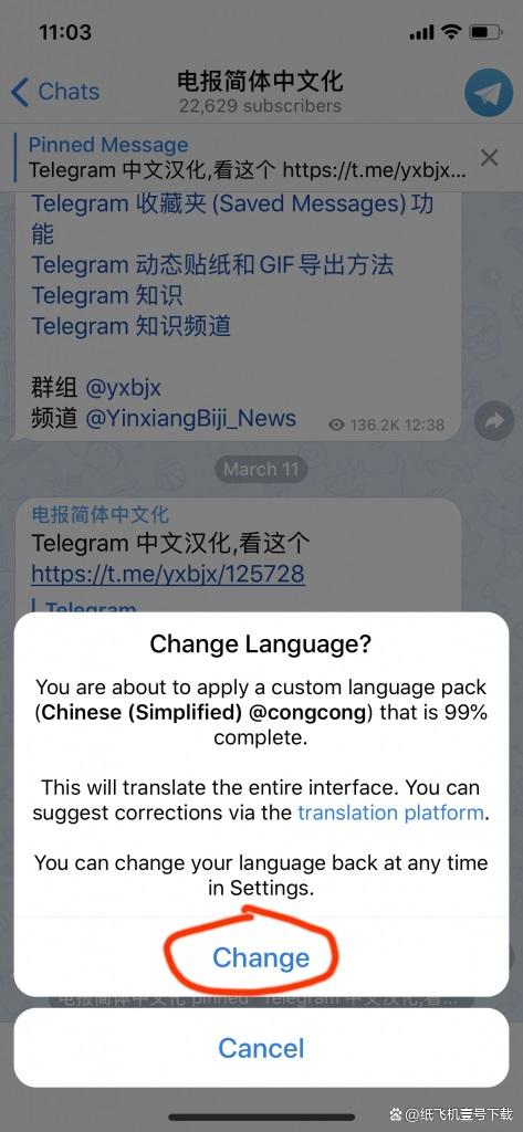 TG纸飞机资源群的简单介绍
