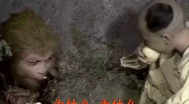 [孙悟空电报猴原声]孙悟空电报员原视频