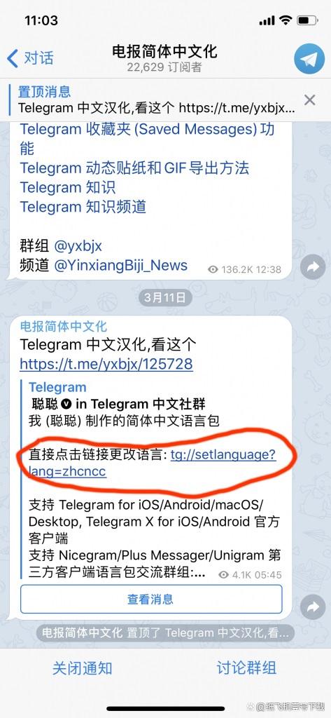 [纸飞机TG群怎么加]纸飞机app怎么建群