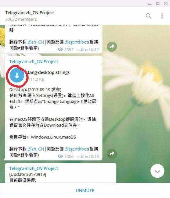 Telegram怎么看历史视频的简单介绍