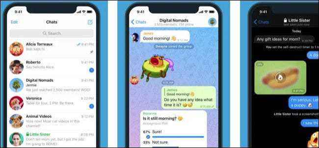 [为什么telegram收不到短信]telegram收不到短信验证 贴吧