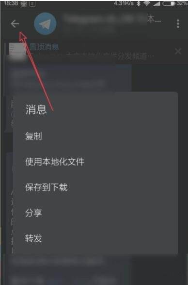 [telegreat中下载]telegreat下载官网