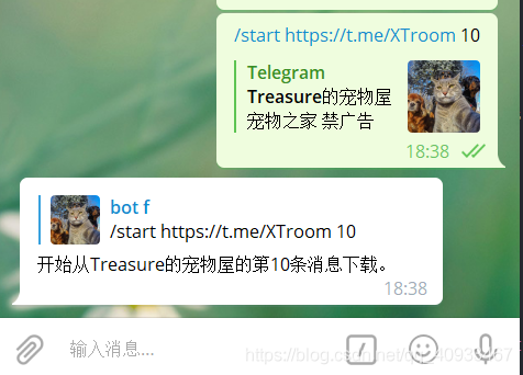 [Telegram参数获取]telegram参数怎么填