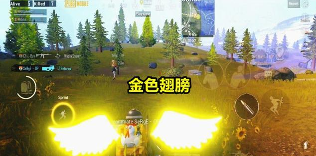 [纸飞机国际服开挂]纸飞机国际服开挂20