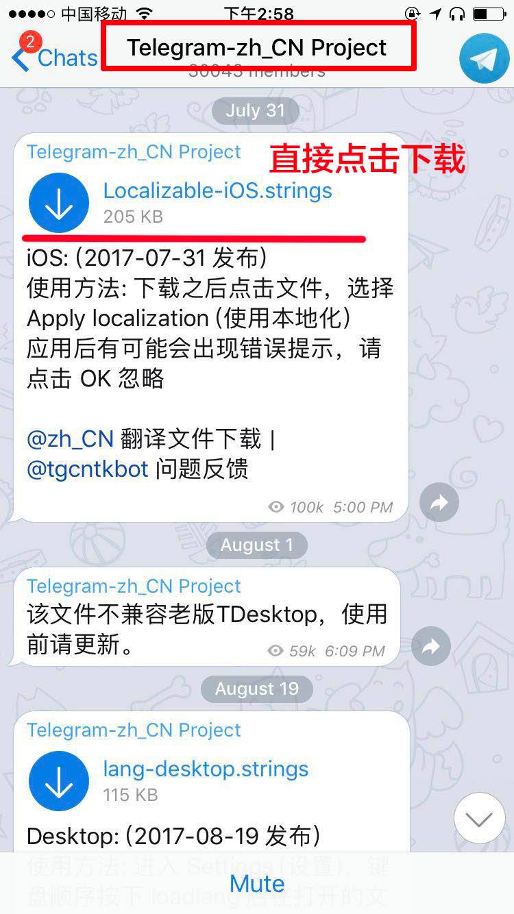 关于Telegram用什么加速的信息