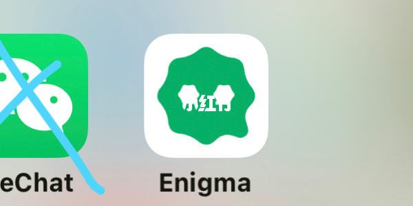 [enigma聊天软件]enigma聊天软件下载苹果版