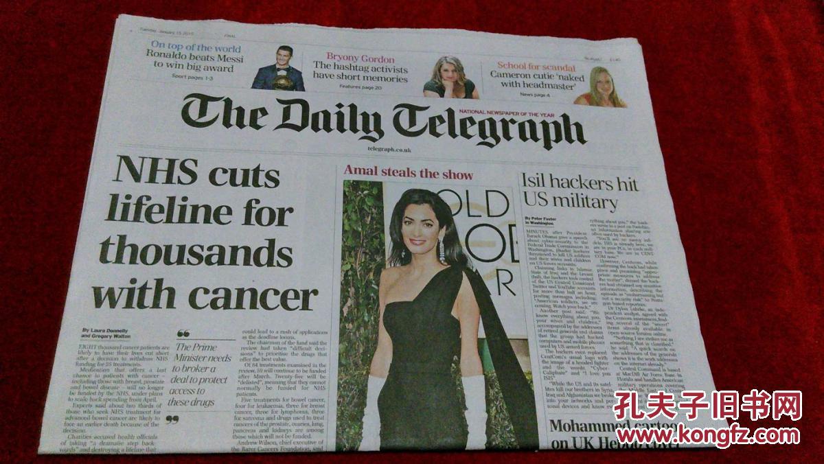 thedailytelegraph官网的简单介绍