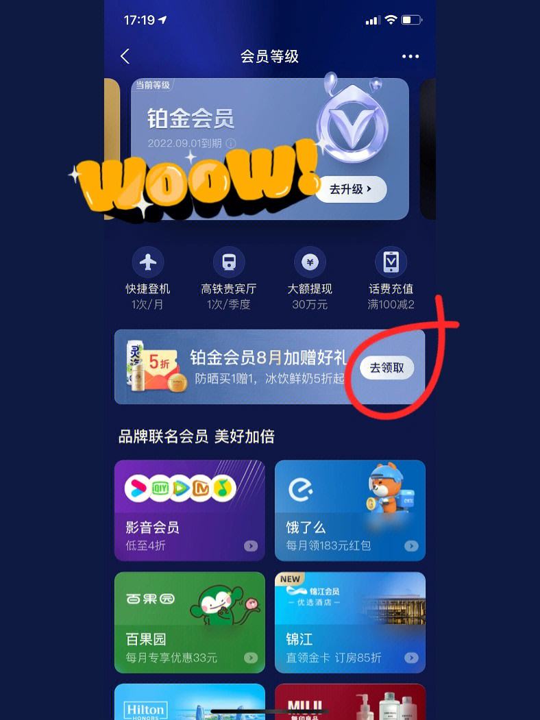 包含telegeram会员支付途径的词条
