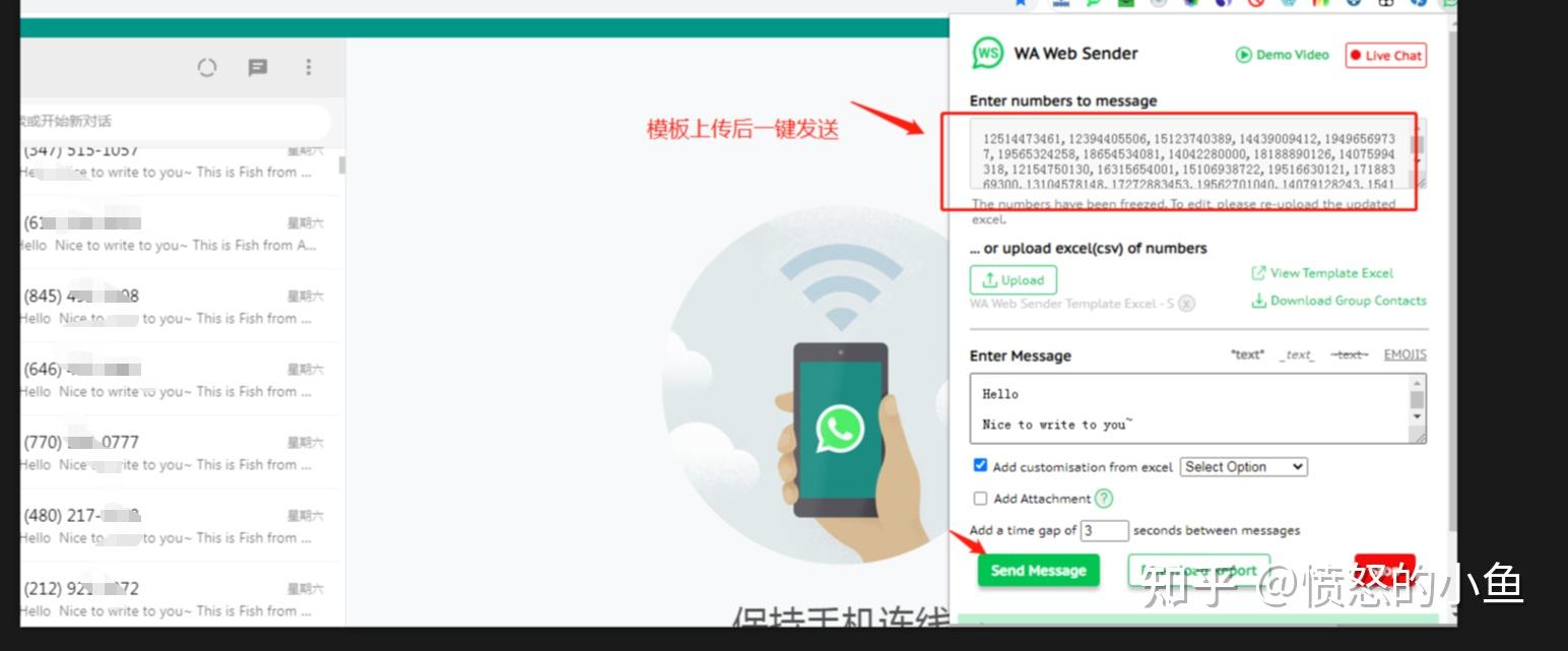 whatsapp在国内能用么-whatsapp可以在中国用吗