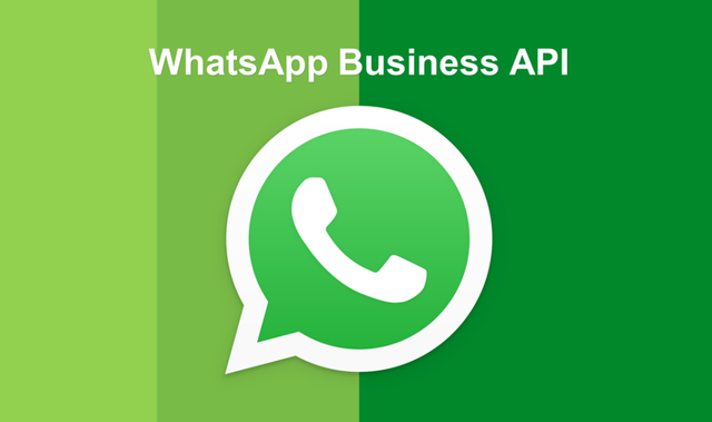 WhatsApp安卓下载-whatsapp安卓下载安装官方最新版