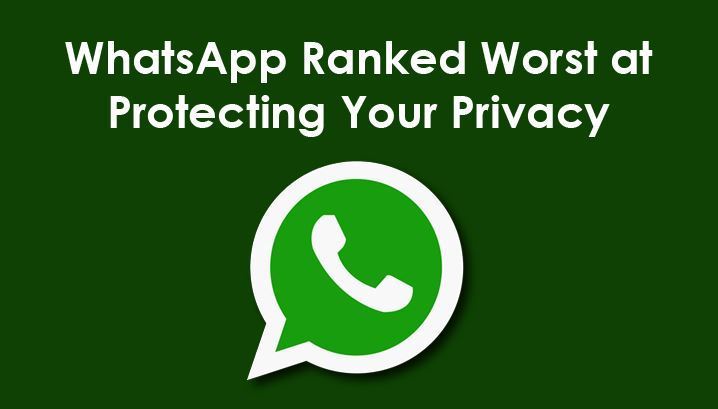 whatsapp中国手机可以用吗-whatsapp在中国能用吗2020