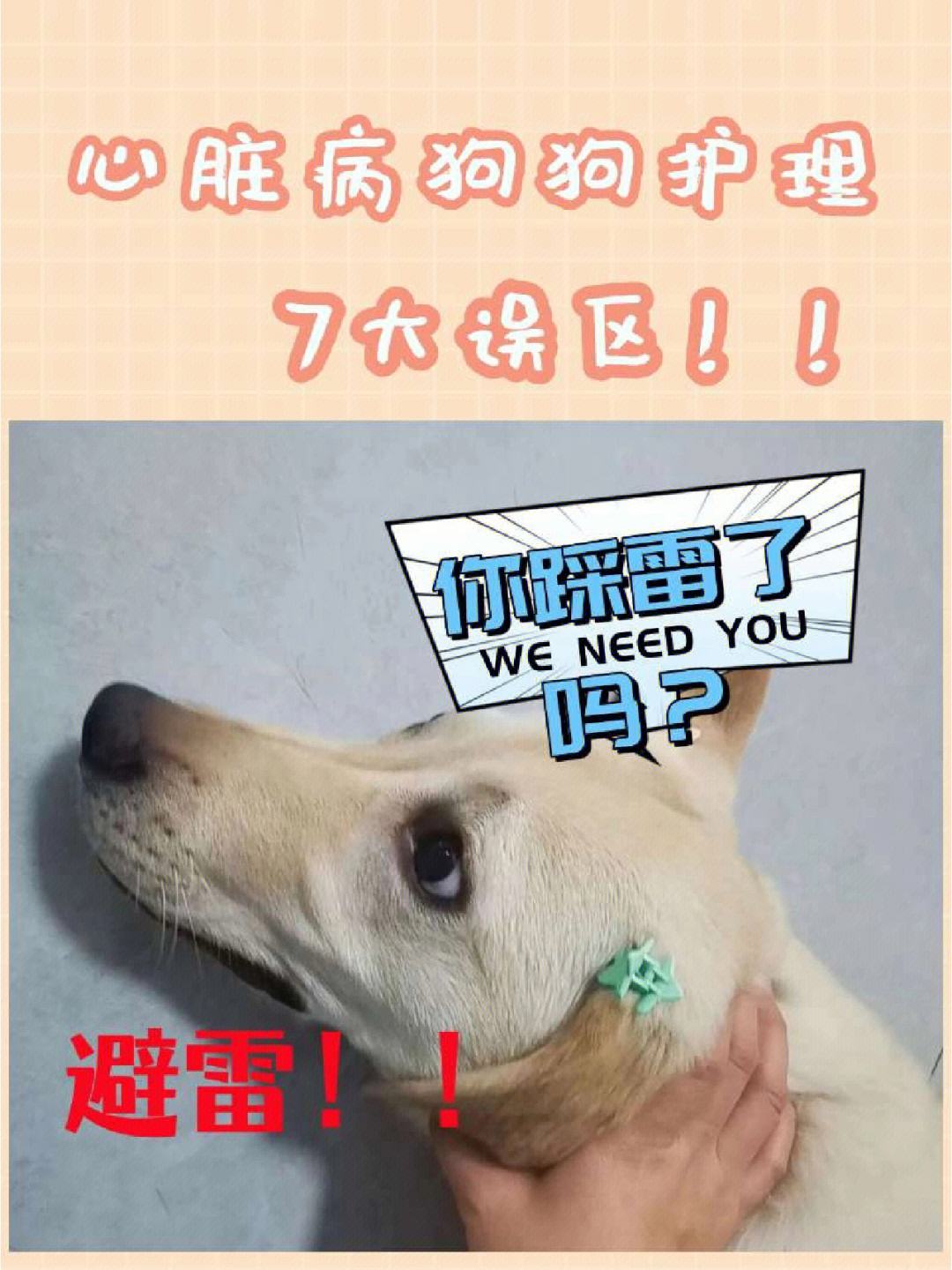 狗急加速破解教程-狗急加速器下载安卓版