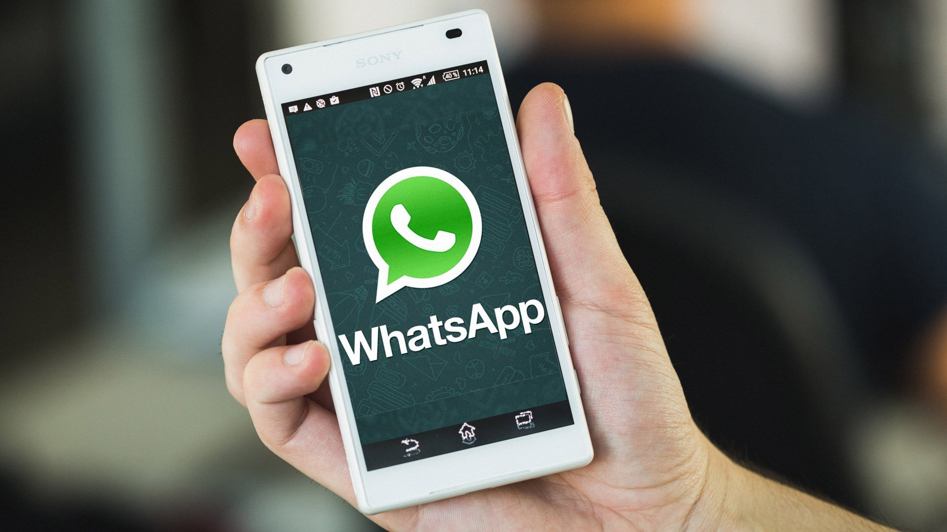 安卓手机用whatsapp-安卓手机用whatsapp为什么用不了