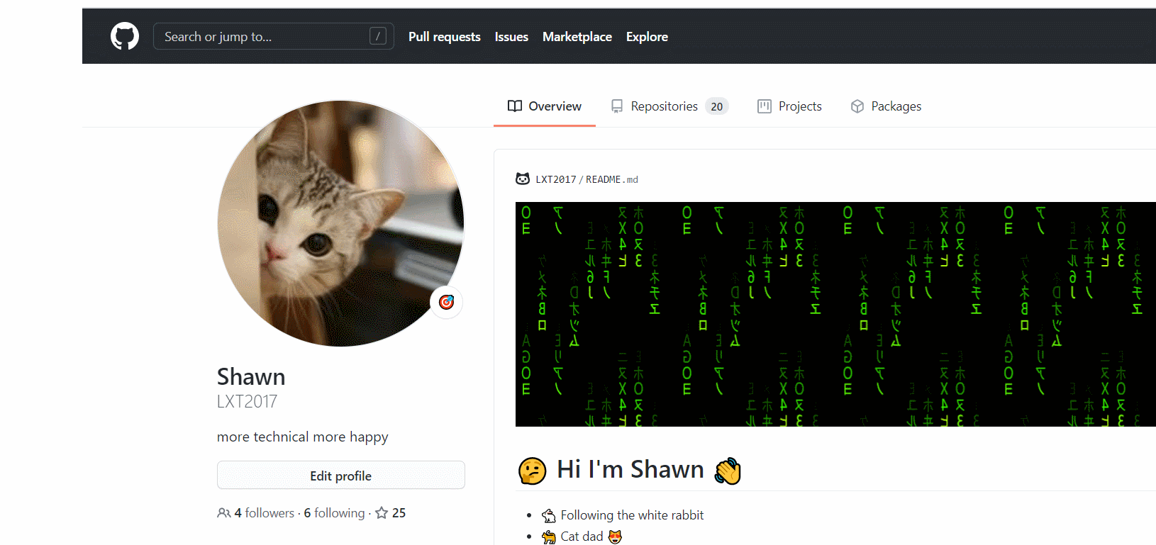 纸飞机github-纸飞机中文版下载官网