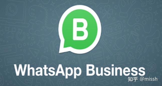 WhatsApp安卓下载安装最新版-whatsapp安卓下载安装最新版51mB