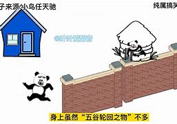 国内怎么使用小飞机翻墙-在中国怎么使用小飞机软件