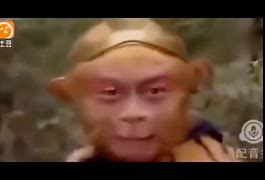 猴子电报员无消音-电报猴原视频没有电音