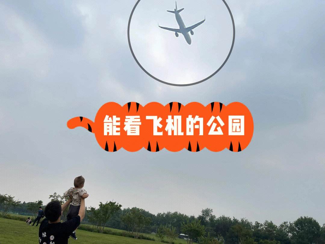 飞机去哪儿下载-飞机去哪儿下载软件赚话费