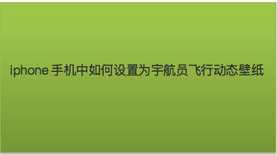 苹果手机飞机中文版-苹果手机飞机中文版app下载