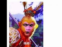 花果山电报员原声-花果山电报员搞笑视频
