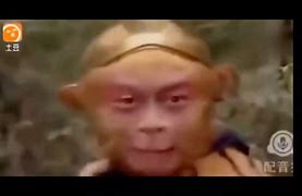 电报猴动态表情包-电报表情包导入微信