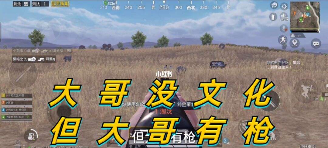 包含和平精英电报员口吐芬芳的词条