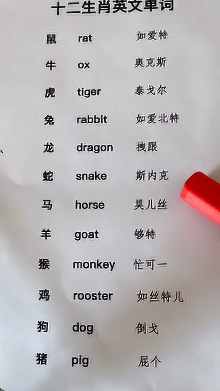 纸飞机的英文单词怎么说的简单介绍