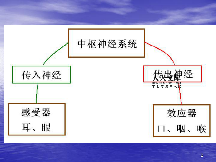 包含电报性语言是小脑的词条