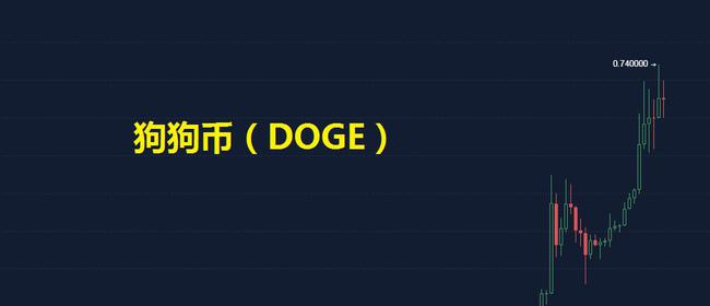 狗狗币app2021-狗狗币价格今日行情k线图