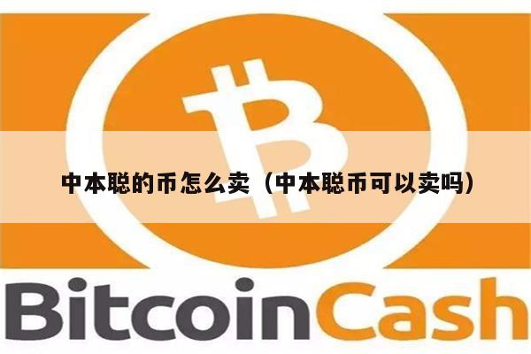 中本聪币项目方-中本聪币谁开发的