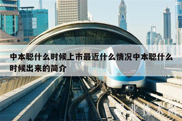 中本聪怎么提币-中本聪怎么提币到tp钱包