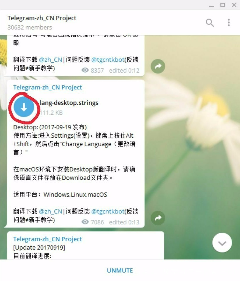 关于telegreat怎么加入群聊的信息