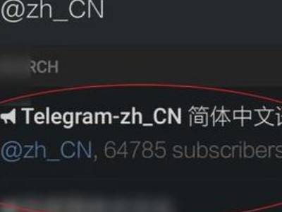 苹果纸飞机怎么设置中文版教程-telegreat苹果怎么改中文版