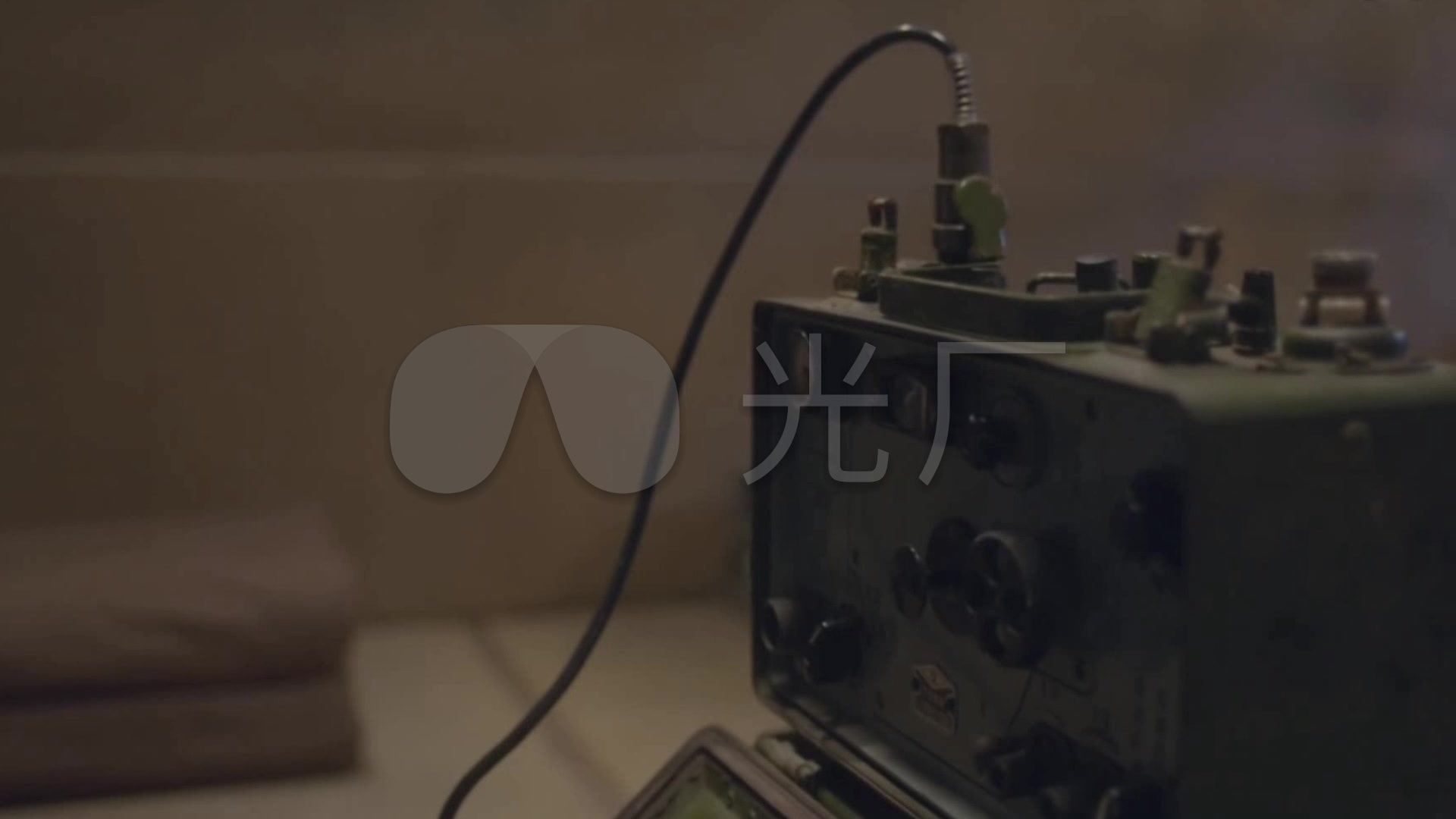 母鸟发电报声音-母鸟发电报声音煽翅怎么回事