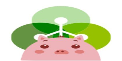 cgpay官网-cgpay电子钱包下载